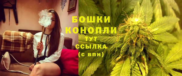 СК Зеленодольск